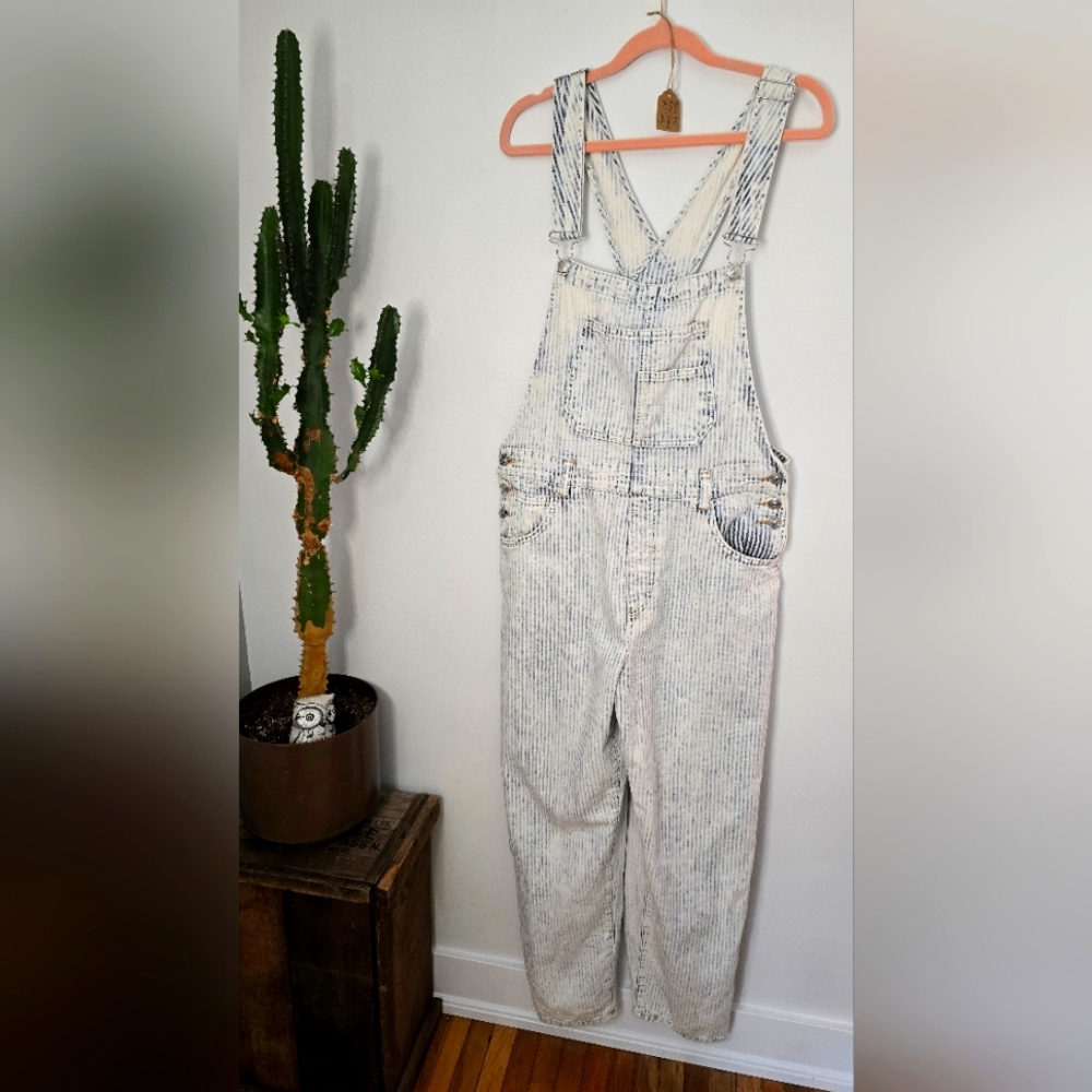 We the Free Denim Overalls